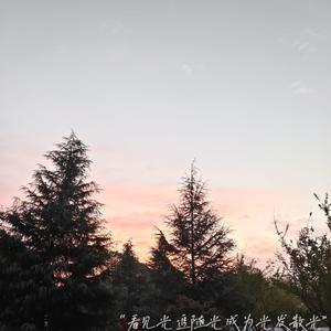 娇喘啊～你tm别㖭了h
